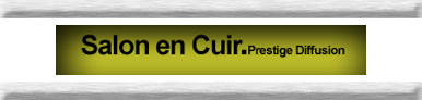 salon en cuir.jpg